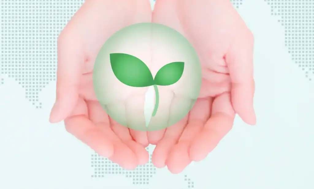 両手の中に新芽