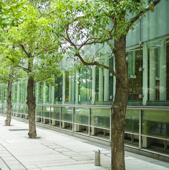 ガラス張りの建物の前の歩道に並ぶ、緑の木々
