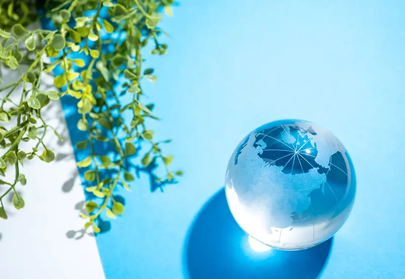 水色の背景に置かれたガラス製の地球儀と、左上から垂れ下がる緑の葉